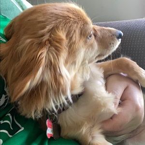 Meet your Posher, Megan